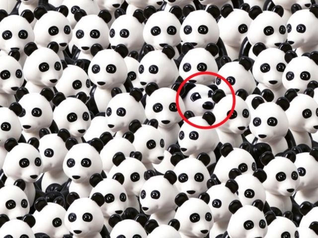 nhung buc hinh danh lua thi giac anh 6