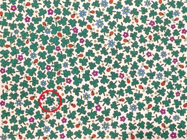 nhung buc hinh danh lua thi giac anh 16