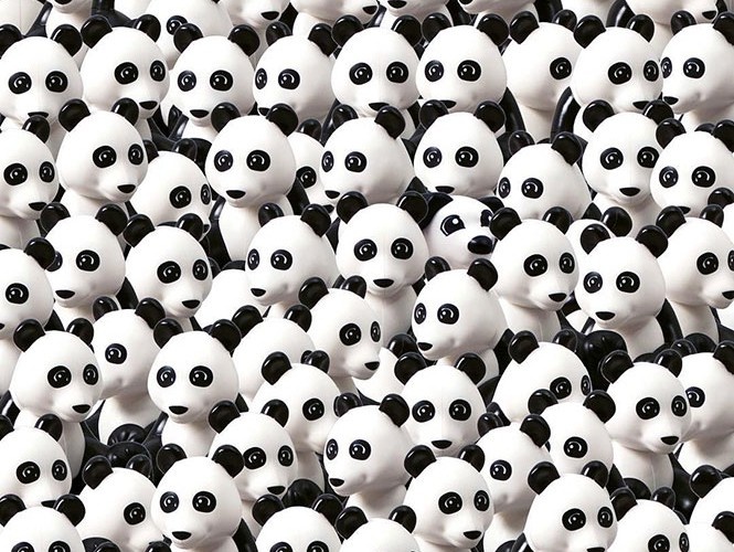 nhung buc hinh danh lua thi giac anh 5