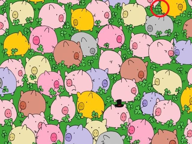 nhung buc hinh danh lua thi giac anh 8