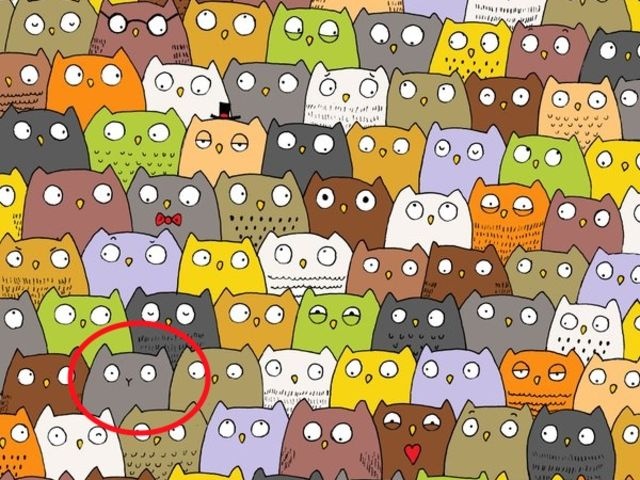 nhung buc hinh danh lua thi giac anh 10