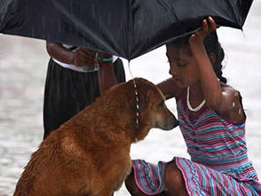 Nhung ban nho khien dan mang tin vao tinh nguoi hinh anh