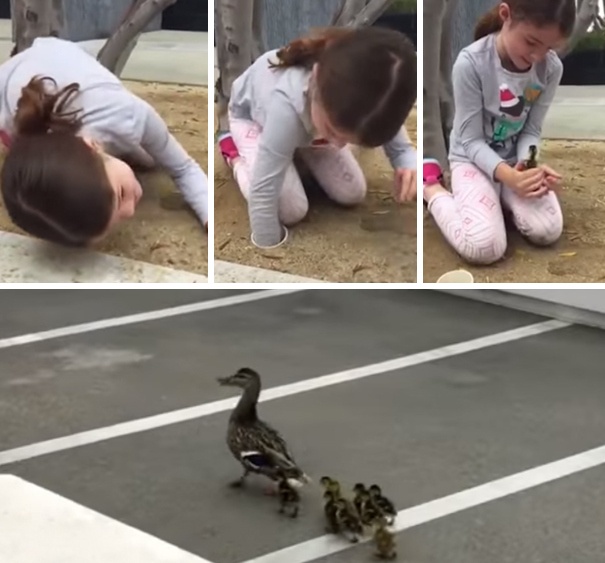 tre em lam viec tot anh 12