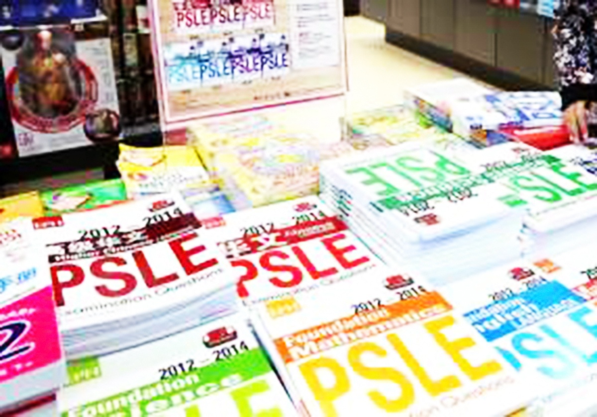 Hoc sinh tieu hoc Singapore xuat ban sach cho tre mam non hinh anh