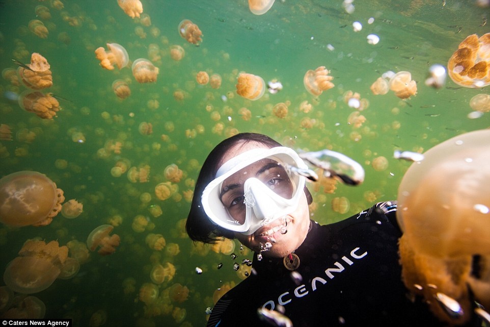 anh selfie mao hiem nhat the gioi anh 9