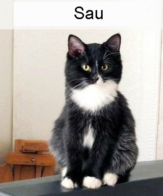 su khac nhau giua truoc va sau ket hon anh 2