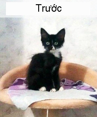 su khac nhau giua truoc va sau ket hon anh 1