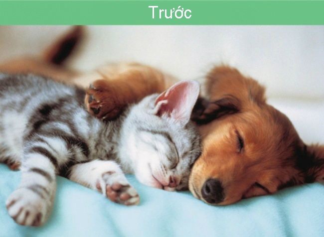 su khac nhau giua truoc va sau ket hon anh 7