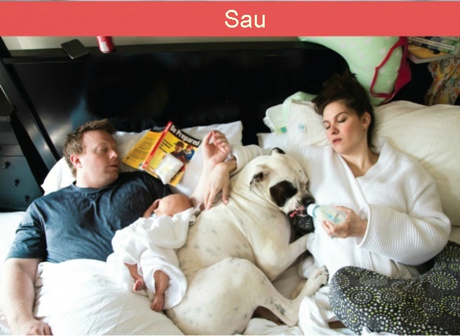 su khac nhau giua truoc va sau ket hon anh 8