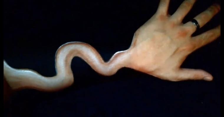 Video tai hien qua trinh ve tranh danh lua thi giac hinh anh