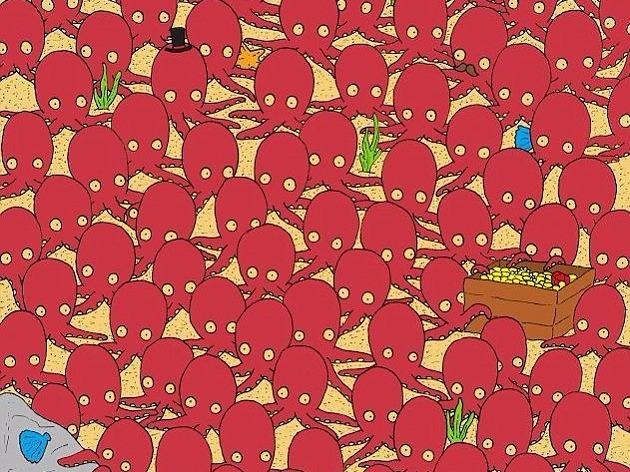 Thu thach tim ca trong bay bach tuoc khien dan mang roi mat hinh anh