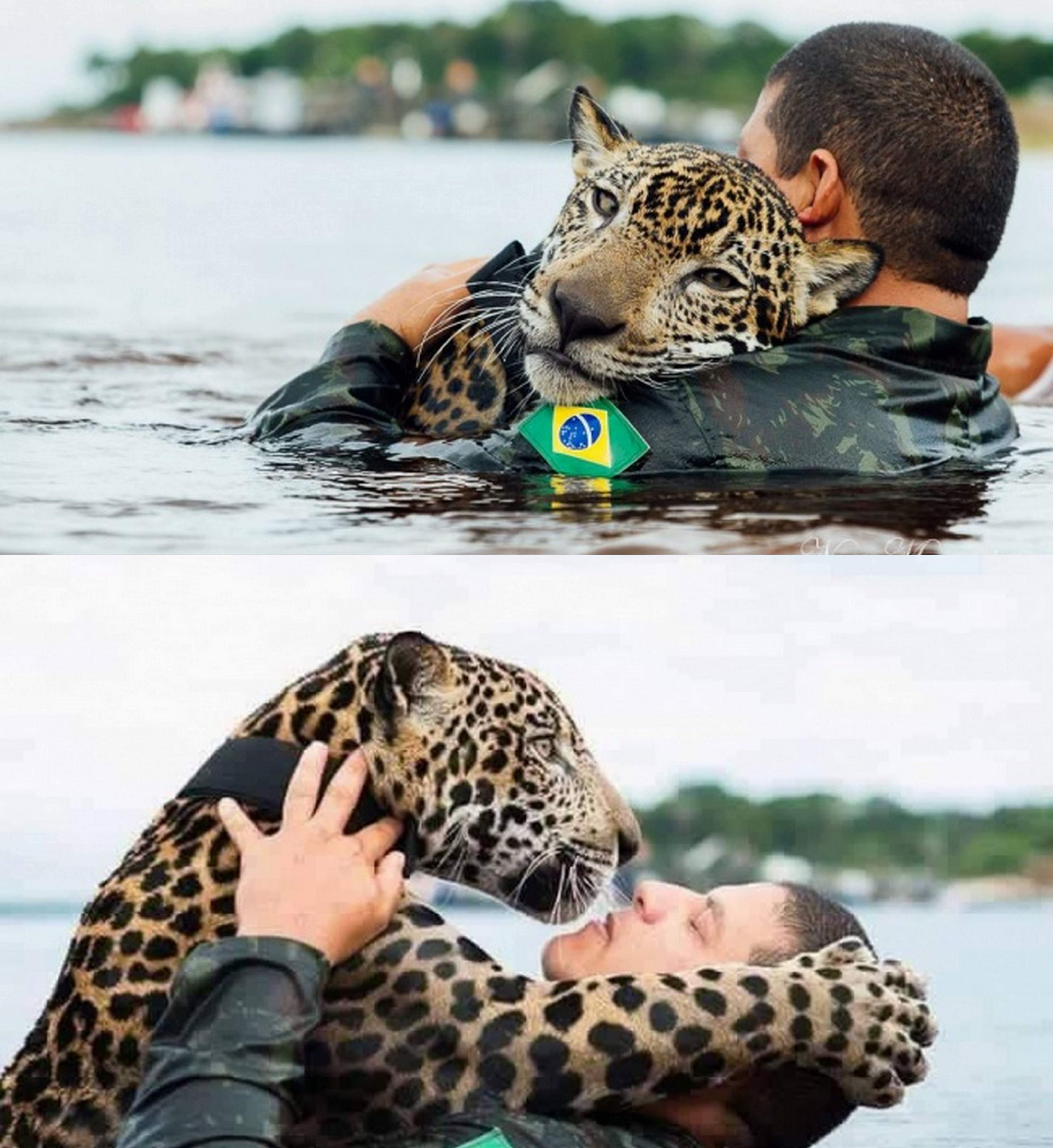 cau chuyen ve long tot trong nam 2016 anh 9