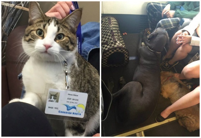 cau chuyen ve long tot trong nam 2016 anh 1