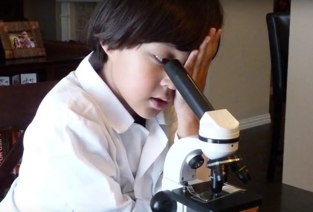 cậu bé 12 tuổi đỗ đại học  ảnh 1 cau be 12 tuoi do dai hoc anh 1