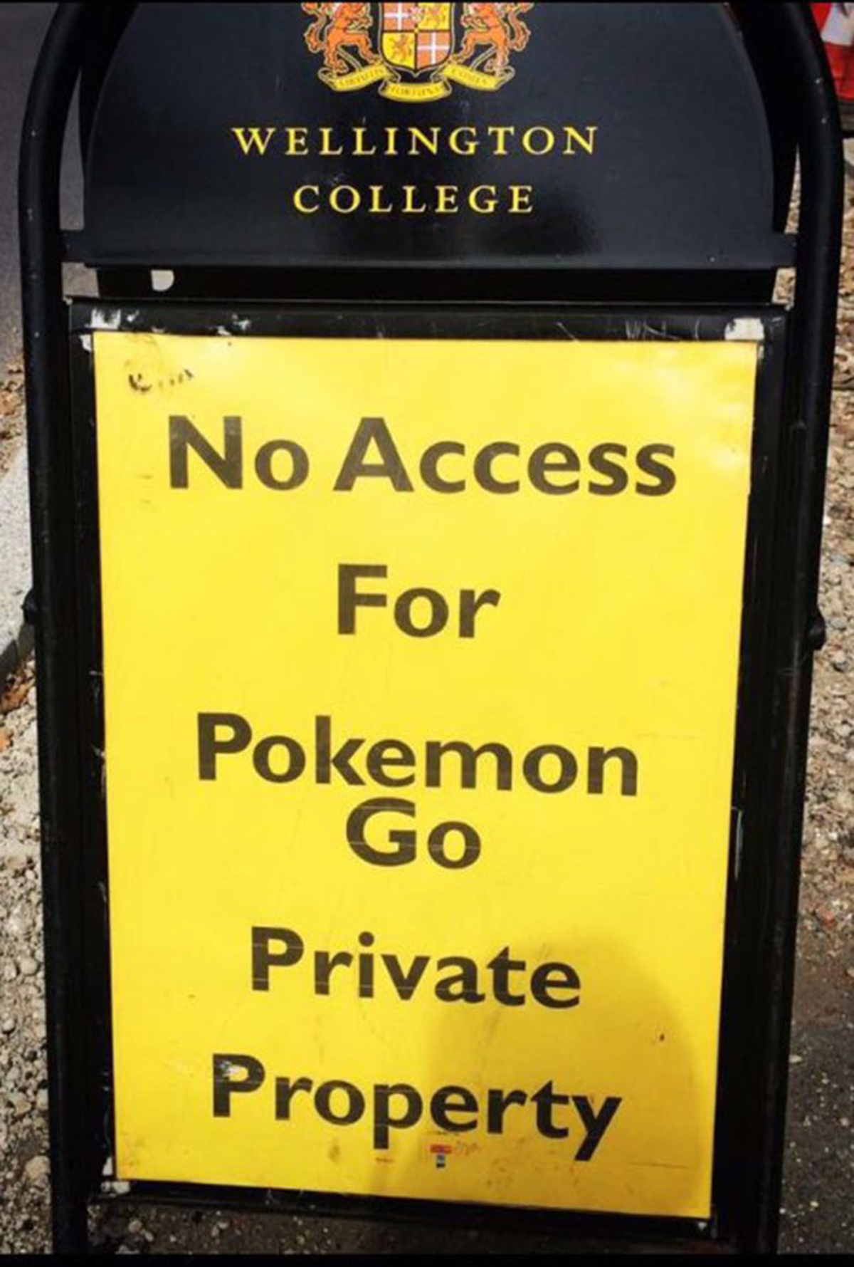 pokemon go ảnh 1 pokemon go anh 1