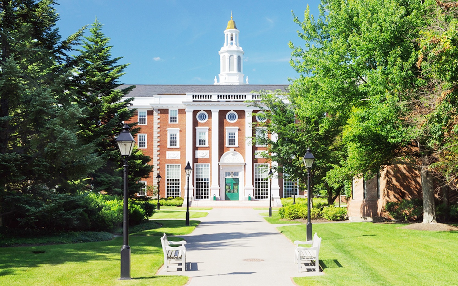 noi dao tao ty phu anh 1