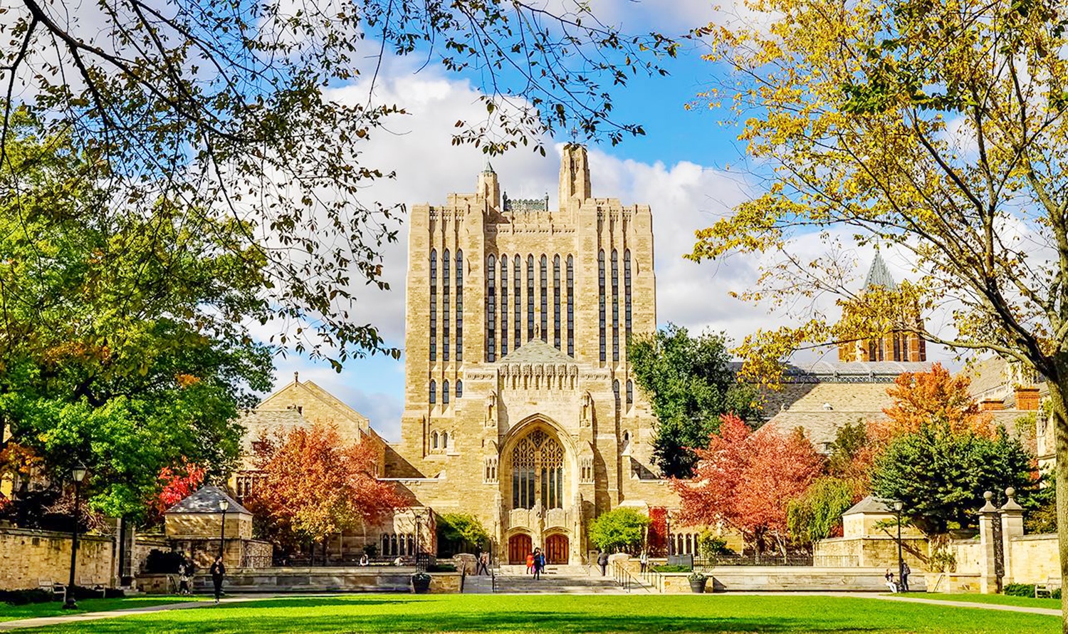 noi dao tao ty phu anh 7