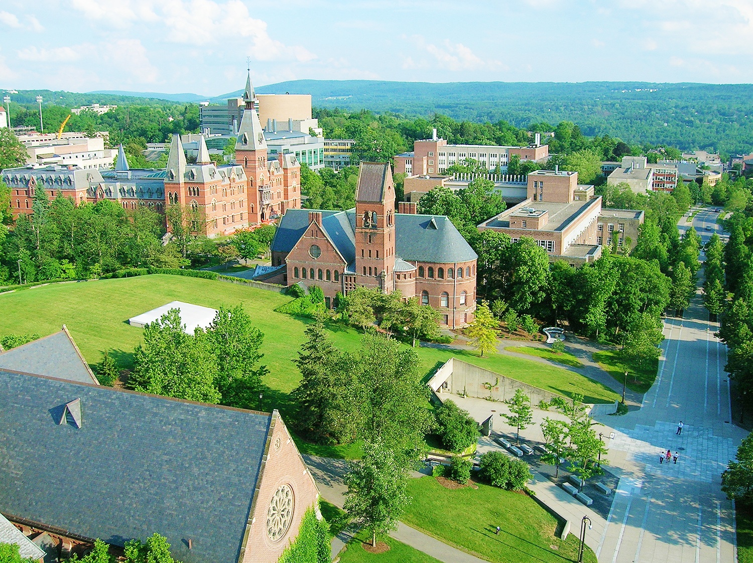 noi dao tao ty phu anh 6