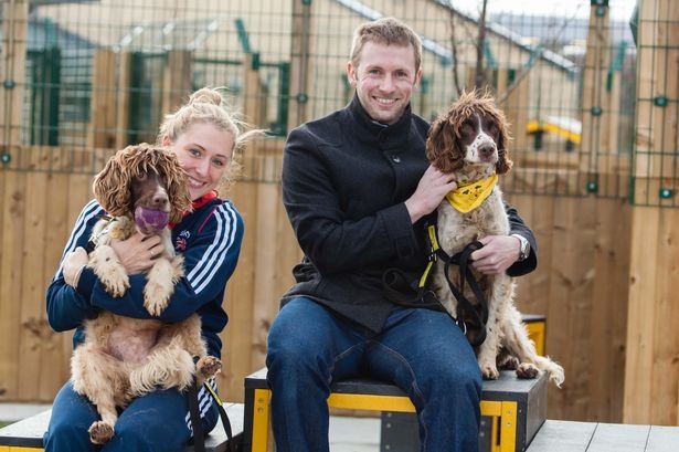 Cap doi vang cua nuoc Anh anh 2