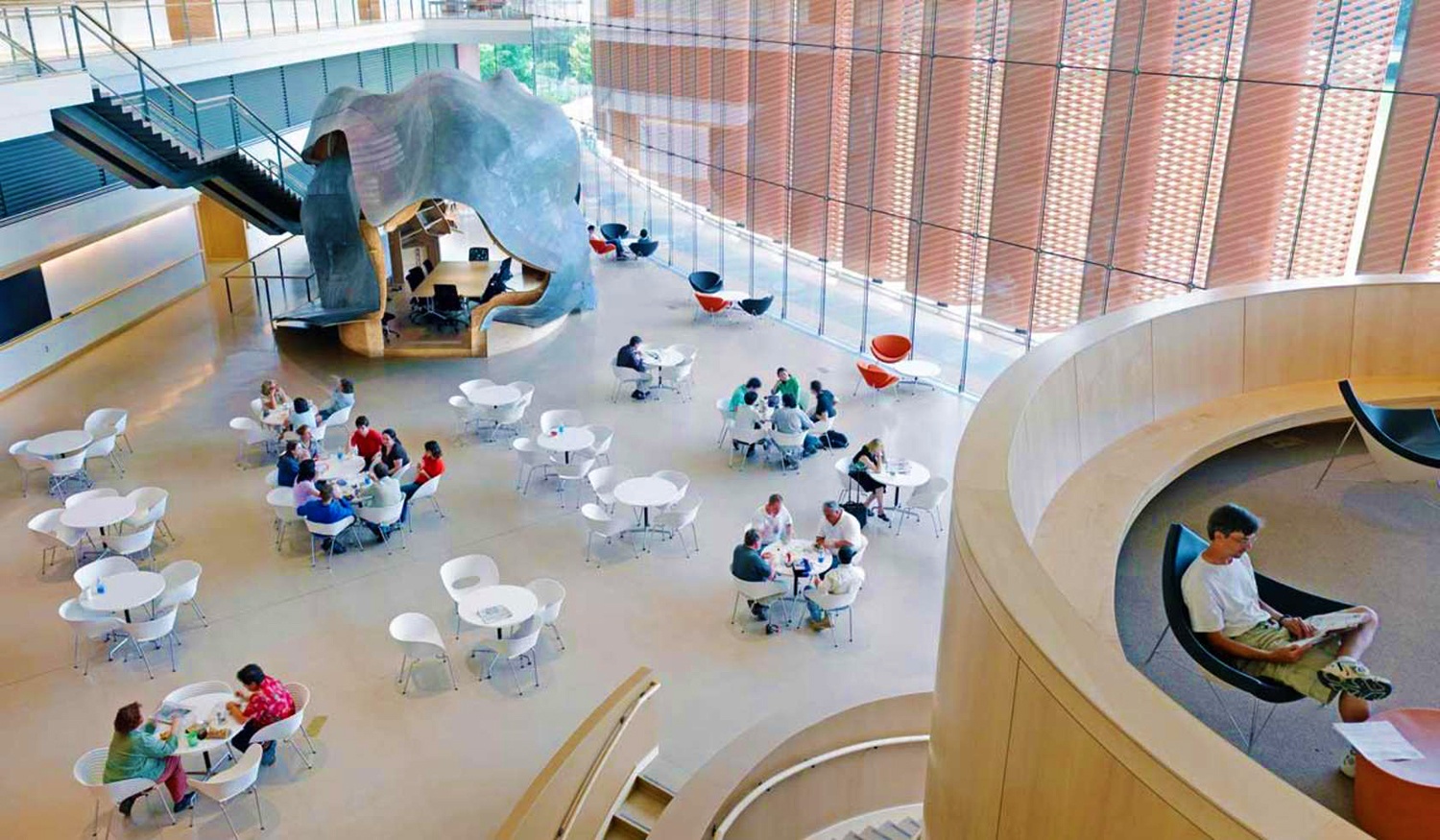 dai hoc hang dau anh 8