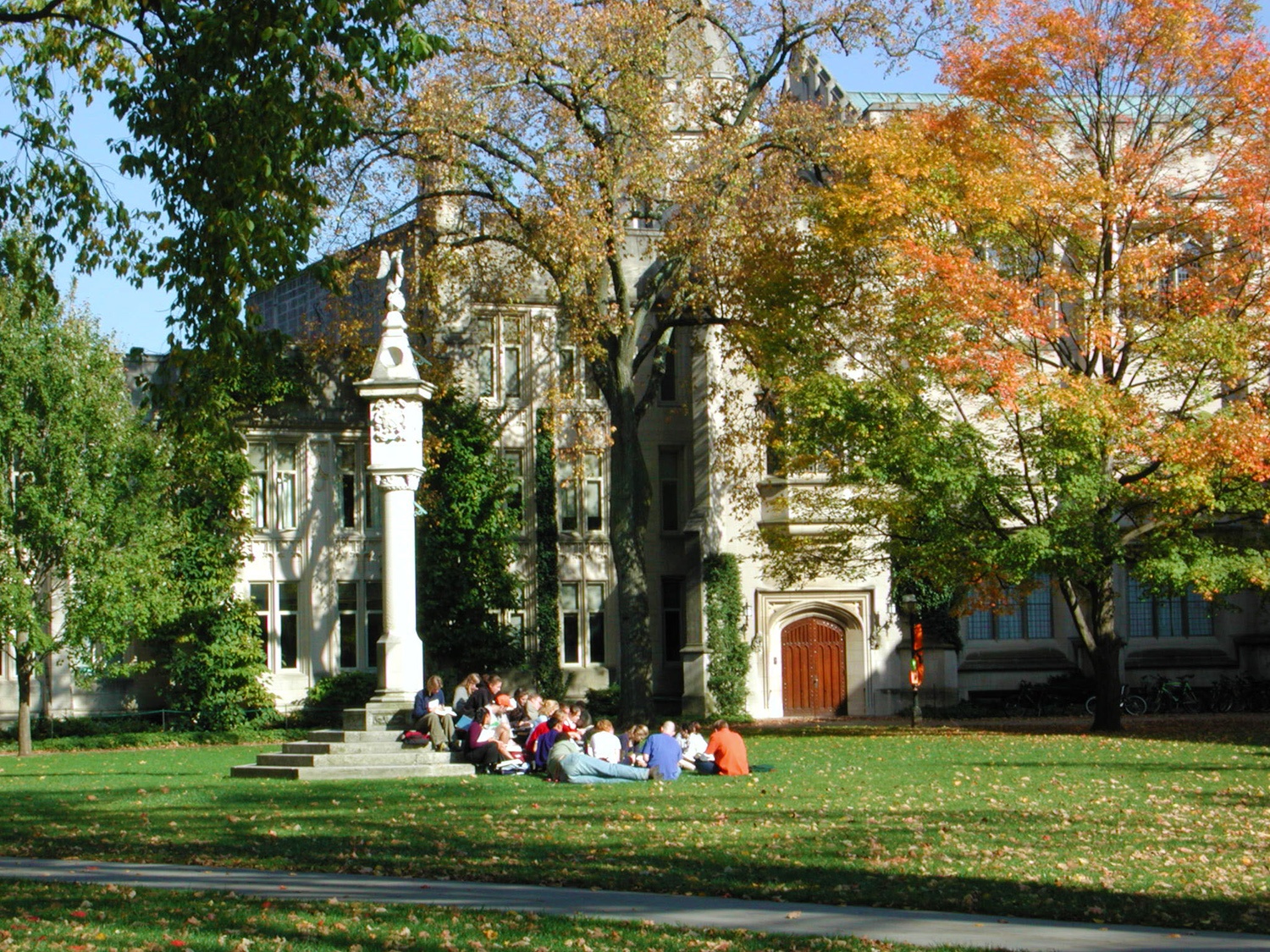 dai hoc hang dau anh 1