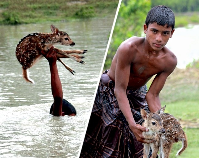 cau chuyen ve long tot anh 5