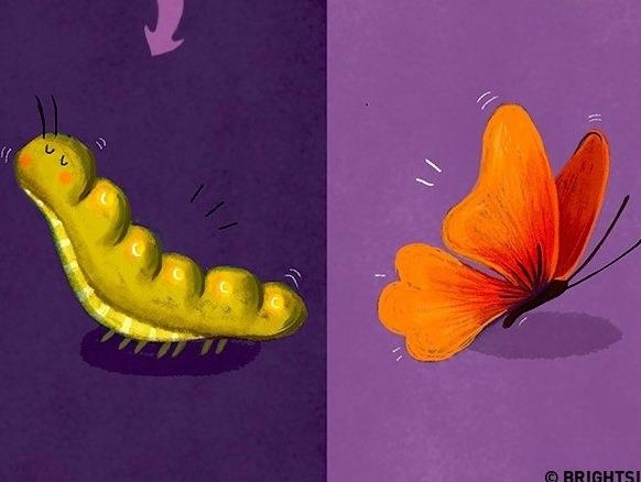 Su khac biet giua nguoi tich cuc va tieu cuc hinh anh