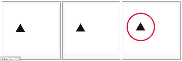 cau do khien cong dong mang dau dau anh 14