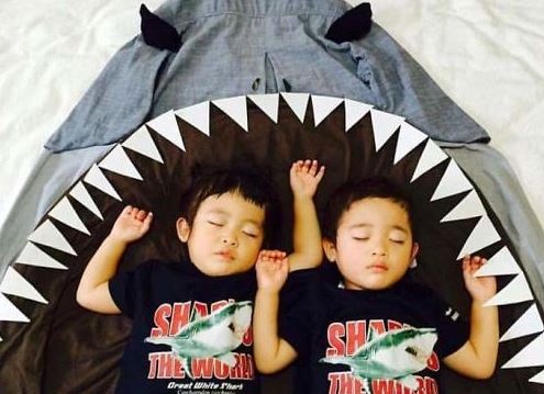 Me ke chuyen qua dang ngu cua hai con sinh doi hinh anh