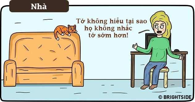 su khac nhau giua lam viec tai nha va cong so anh 26