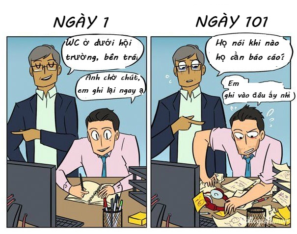 ngay dau va ngay thu 101 di lam anh 4