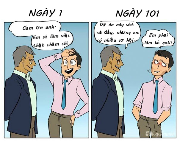 ngay dau va ngay thu 101 di lam anh 5