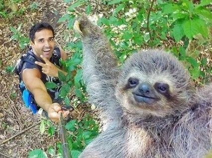 Nhung buc anh selfie noi tieng khap the gioi hinh anh