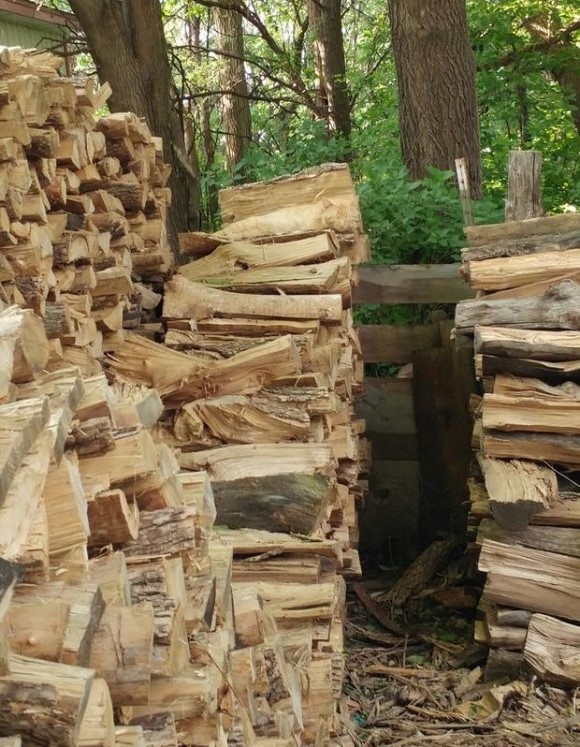 nhung buc anh ky la anh 11