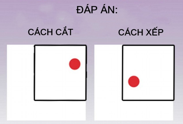 nhung bai toan hoc bua anh 8