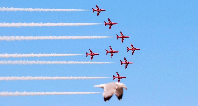 anh gay hieu lam anh 13