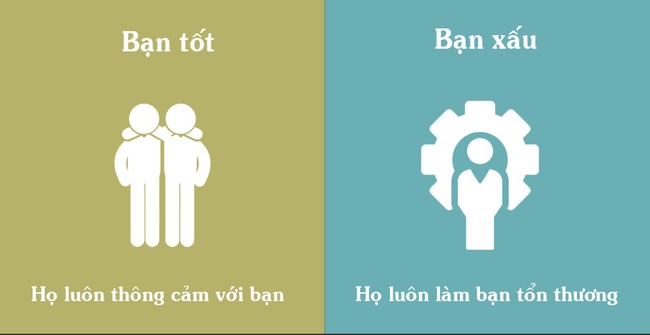 su khac biet giua tinh ban tot va gia tao anh 2
