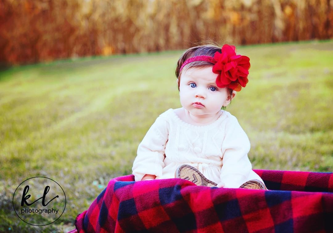 Harry Potter nhi anh 6