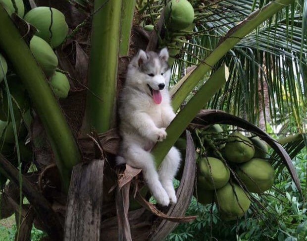 anh che noi tieng anh 6