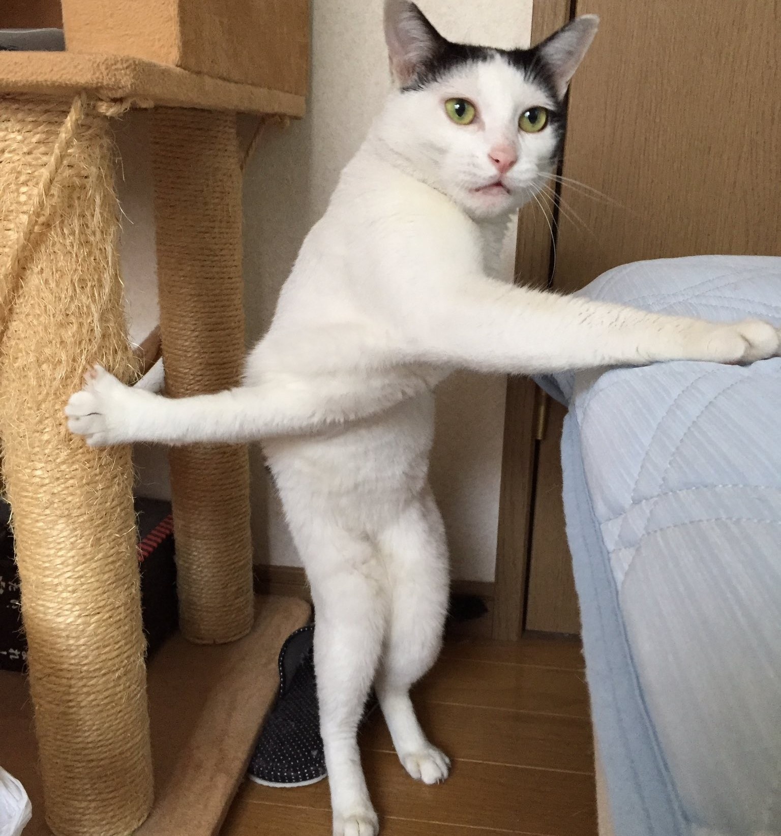 anh che noi tieng anh 3