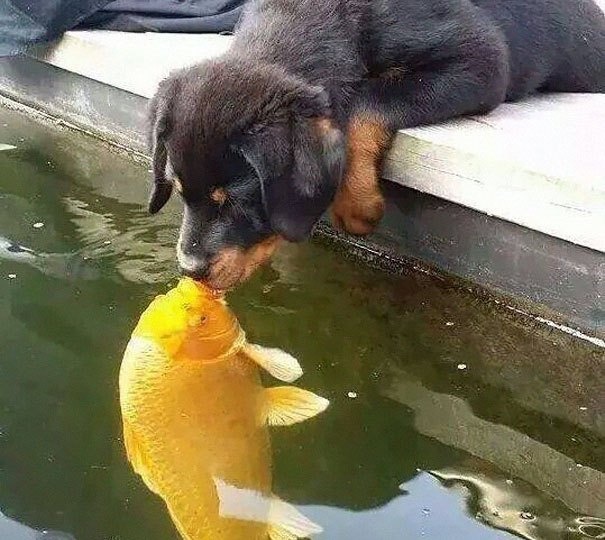 anh che noi tieng anh 13