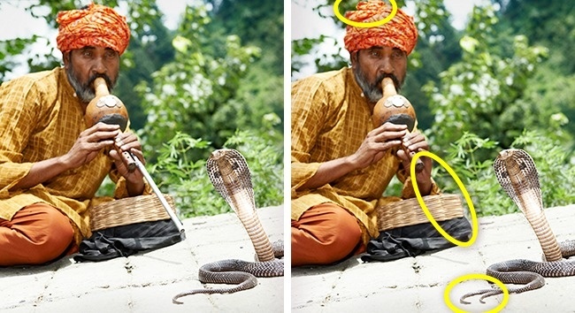 tranh tim diem khac biet anh 6