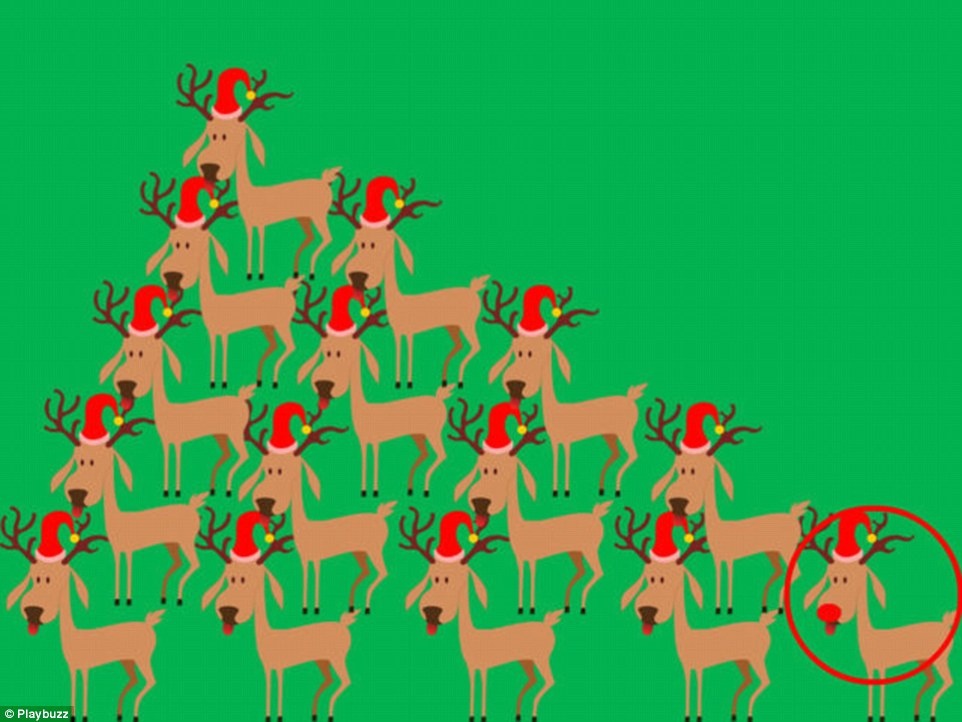 thu thach tim chu tuan loc khac biet anh 6