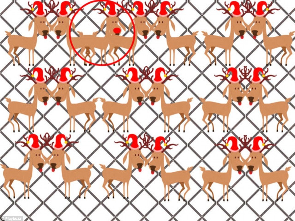 thu thach tim chu tuan loc khac biet anh 8