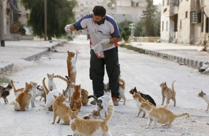 Nhung buc hinh the hien tinh nguoi anh 1