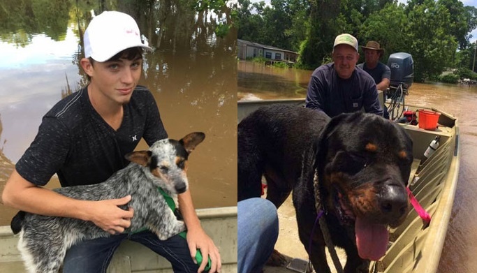 Nhung buc hinh the hien tinh nguoi anh 3