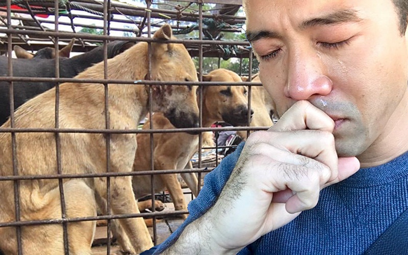 Nhung buc anh am tinh nguoi tren mang hinh anh