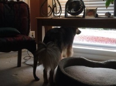 cau chuyen cam dong anh 10