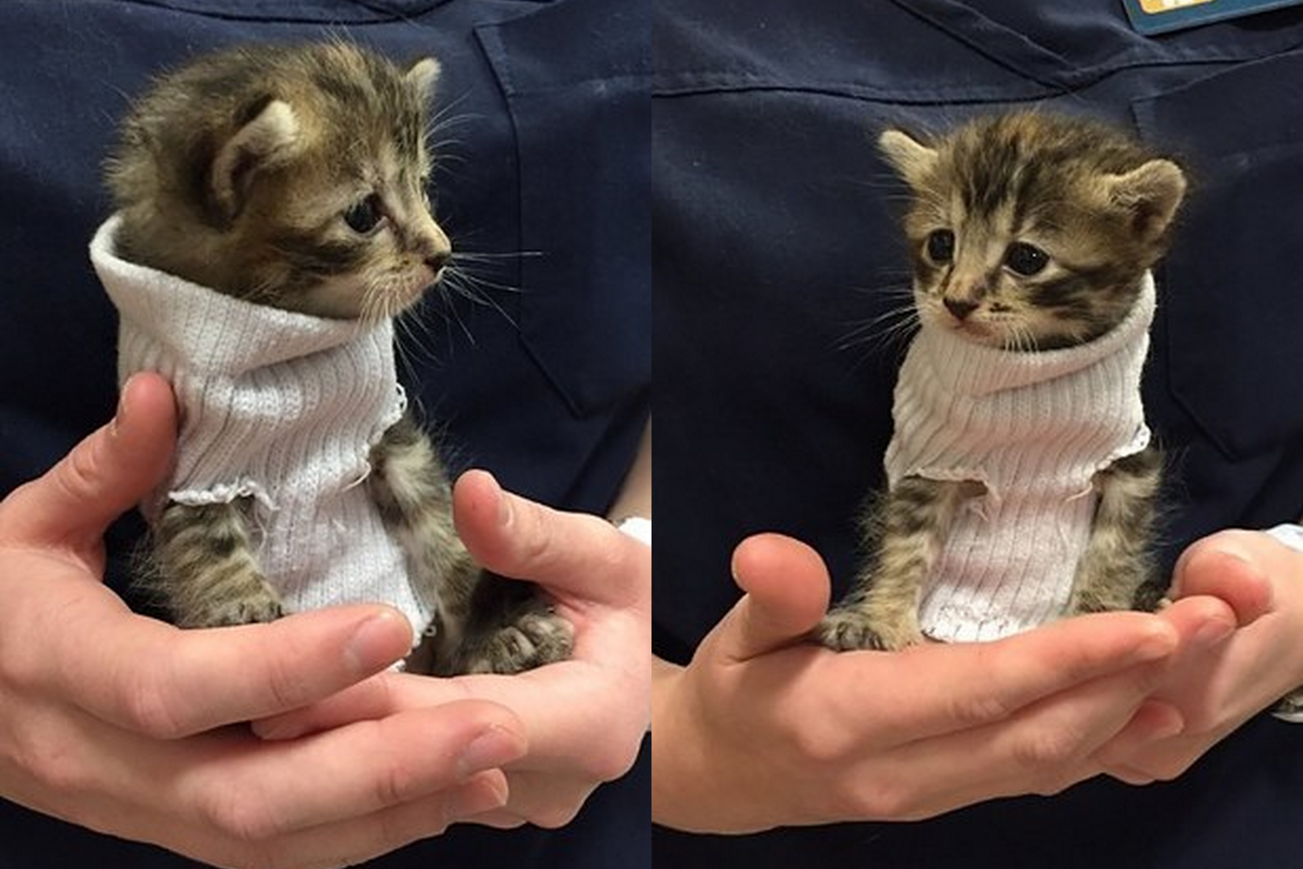 cau chuyen cam dong anh 2