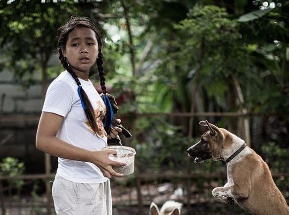 Co be 12 tuoi nhan nuoi 29 chu cho bi bo roi hinh anh